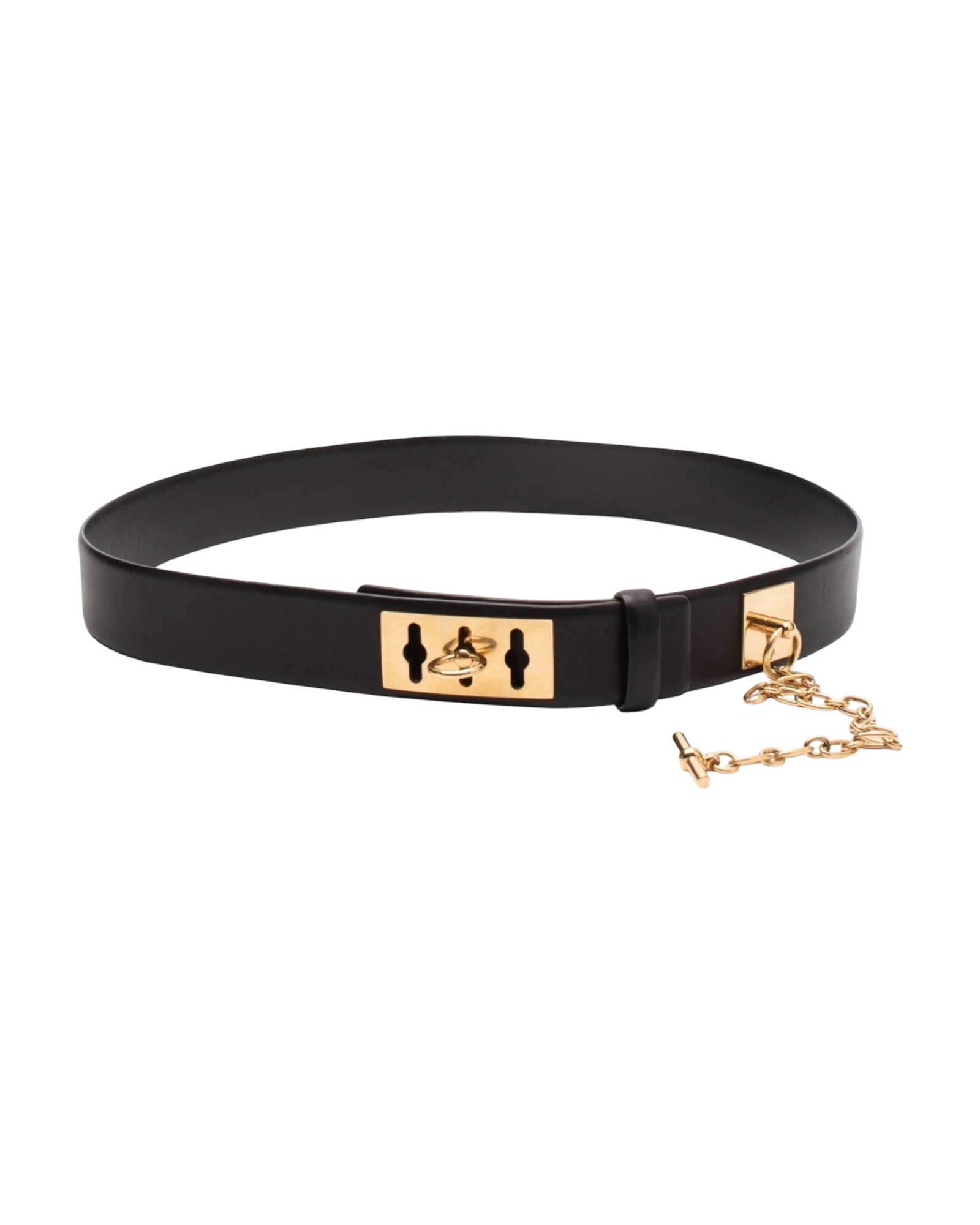 Celine Collier De Chien Belt