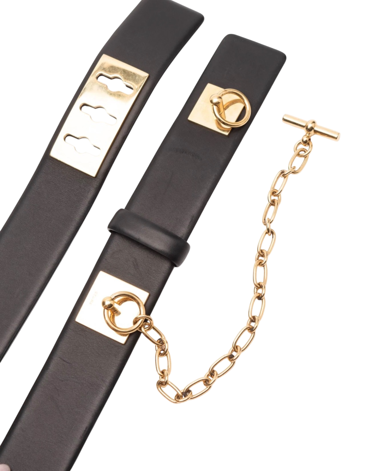 Celine Collier De Chien Belt