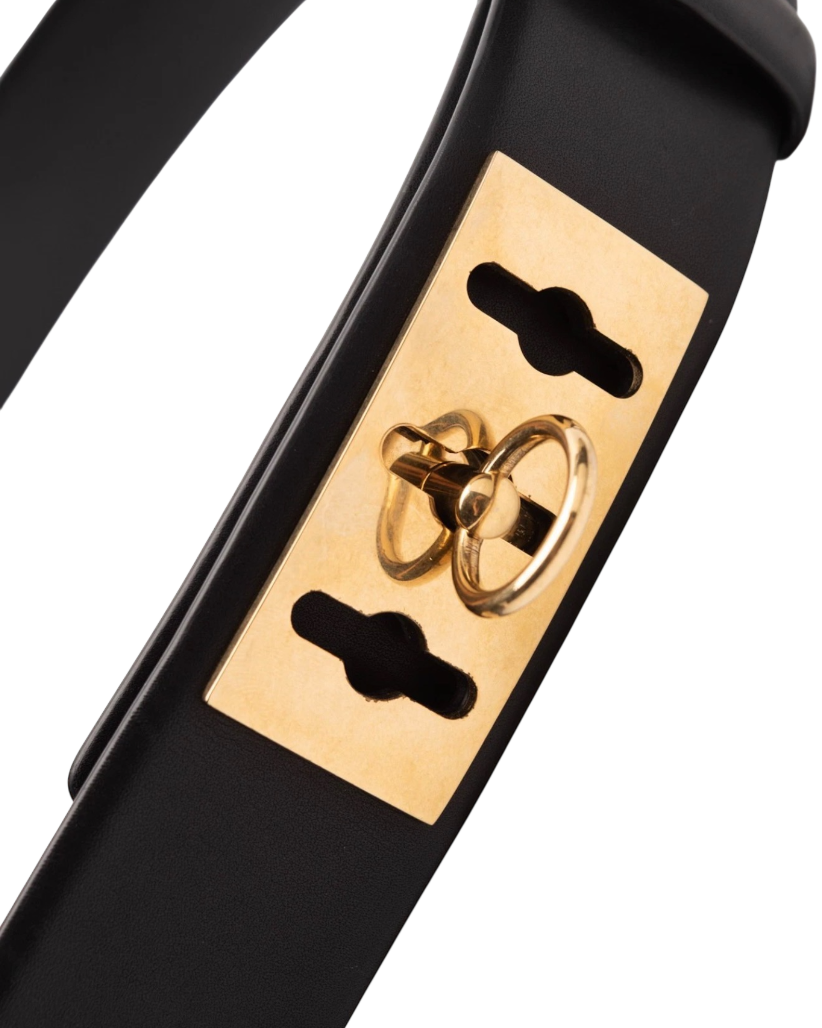 Celine Collier De Chien Belt