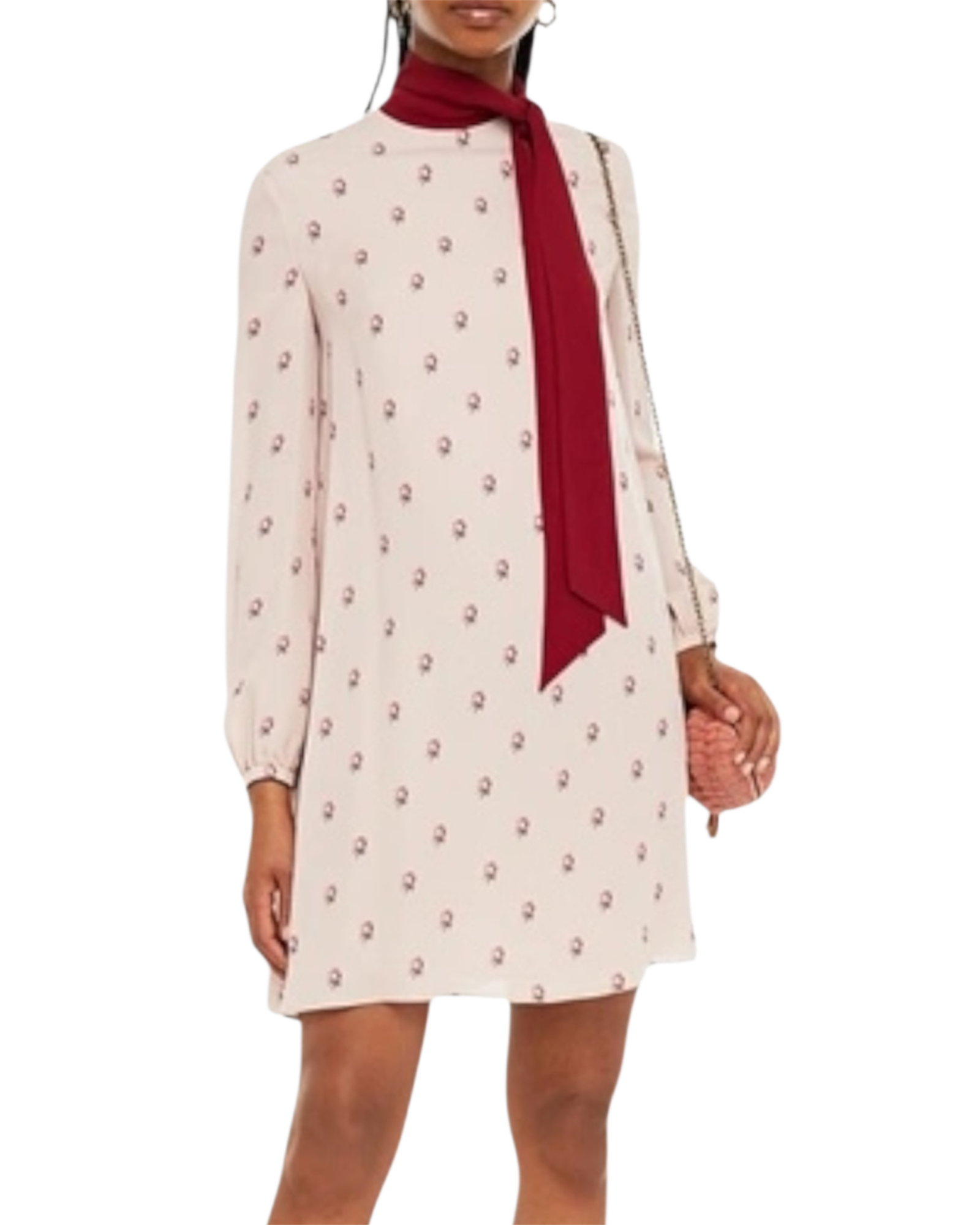 Valentino Tie Neck Floral-print Silk Crepe de Chine Mini Dress