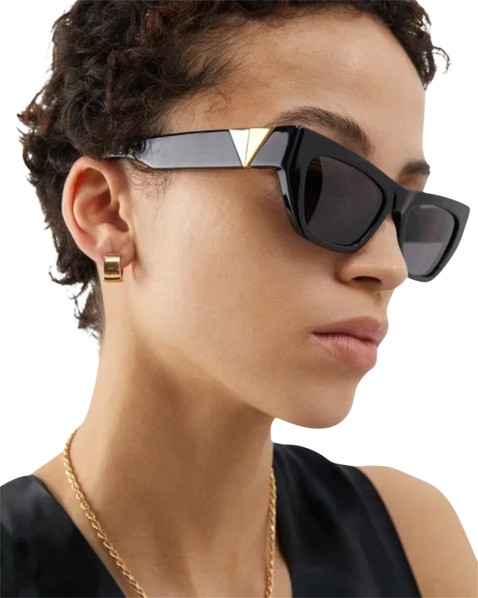 Bottega Veneta Sunglasses BV1221S in Black