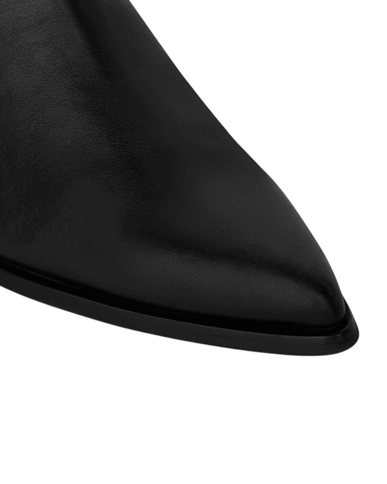 Celine Double Buckle Zipped Boots