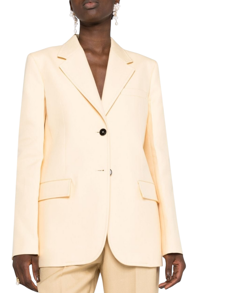 Jil Sander Techno-Gabardine Tailored Jacket – Champagne